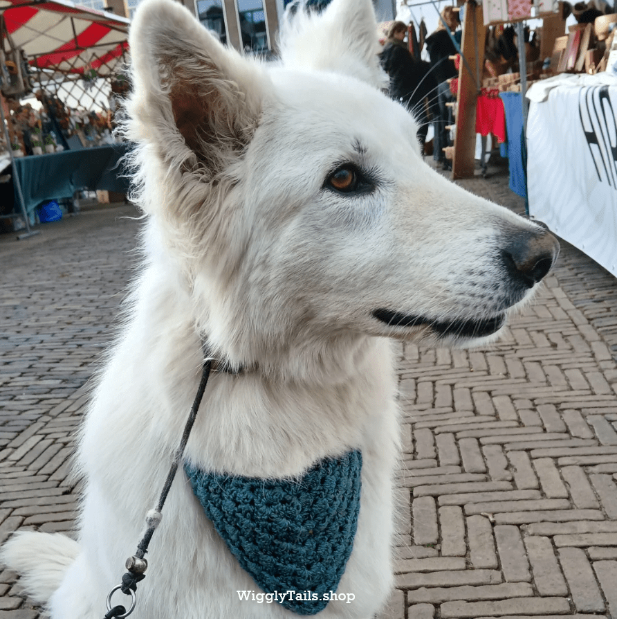 A white shepherd wearing a teal dog bandana, sitting among market stalls